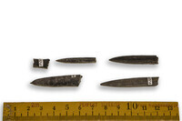 F 04370
<br/>
<br/>
<em></em>